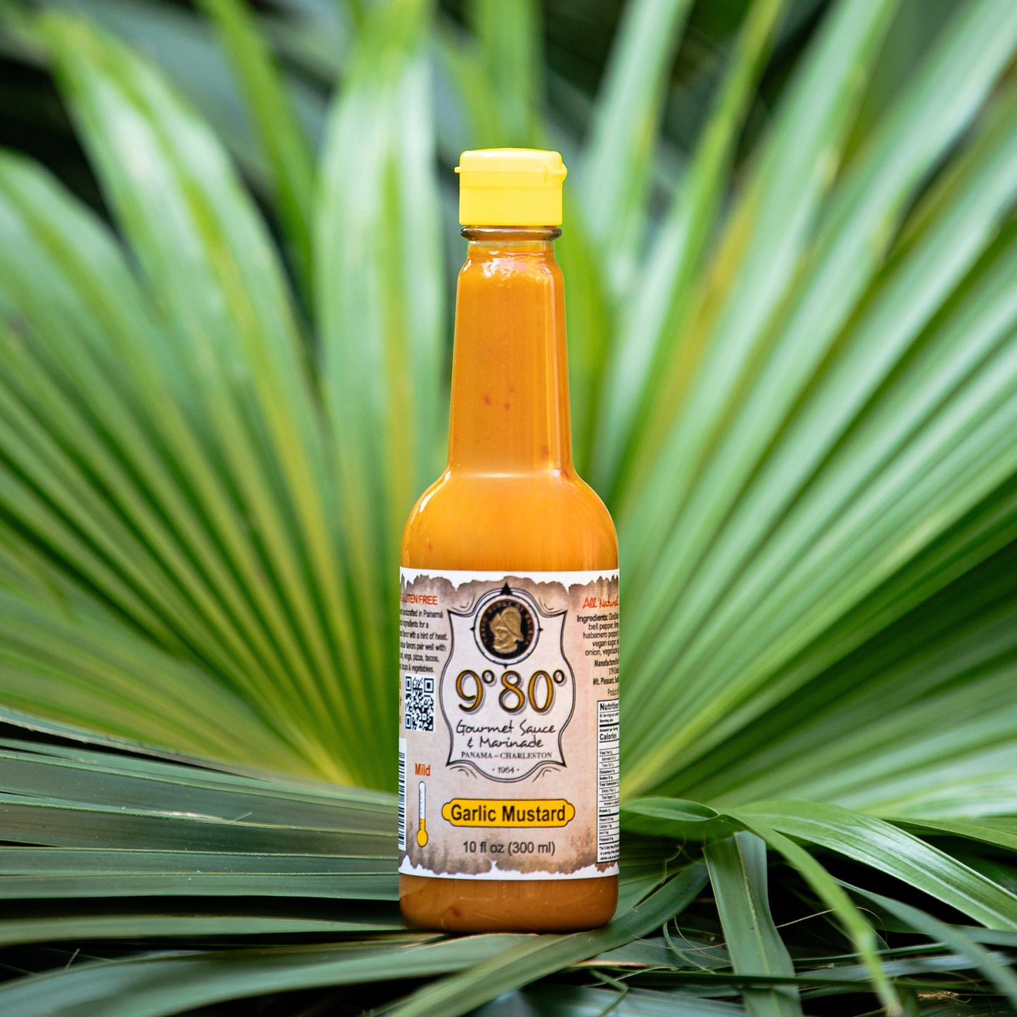 Garlic Mustard 9º80º Sauces & Marinades