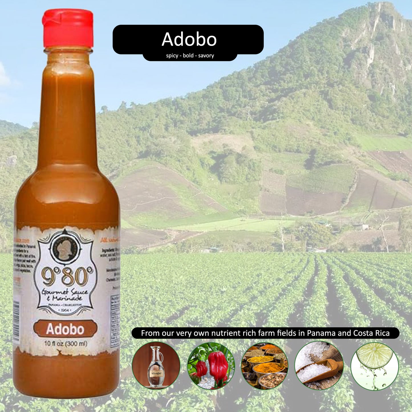 Adobo 9º80º Sauces & Marinades